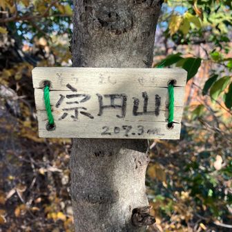 宗円山⛰️