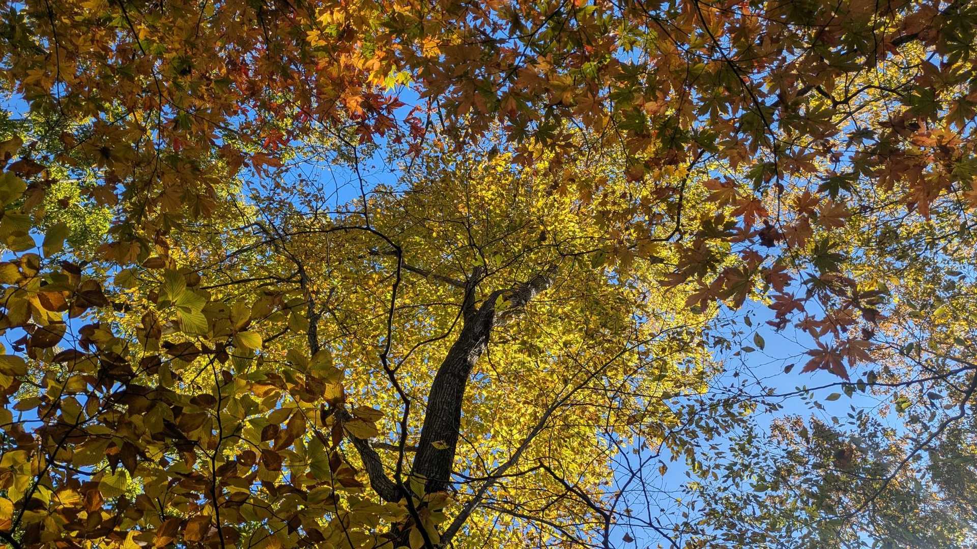 取り付き-砥山-城山-水谷山-あかはげ山-寺山-漆器神社 縦走コースの写真