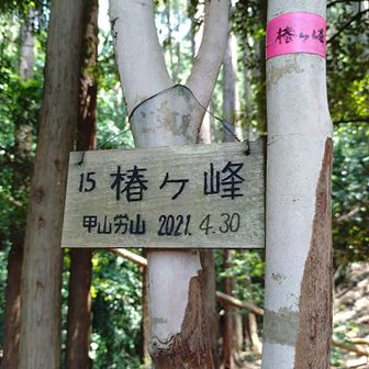 ちゃんとしたプレートはあるのにルートが酷い😰いやルートは無い！
道中の写真撮る余裕無し😖