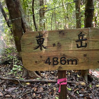 東岳、登頂です♪
同じく林の中、眺望無しです🤣
