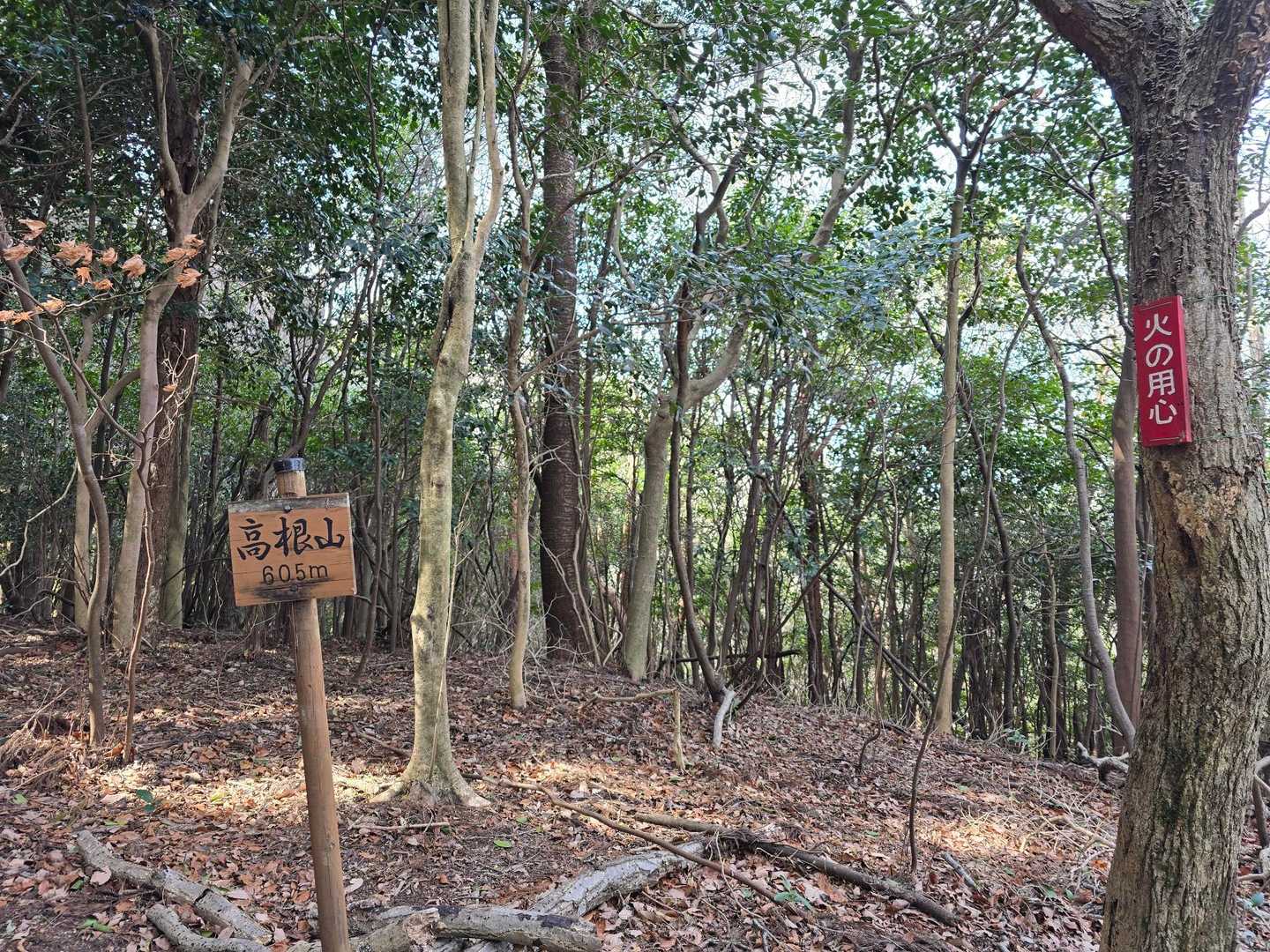 石畳ふれあい広場バス停-取付-高根山-折平山-北曽木石畳口 周回コースの写真