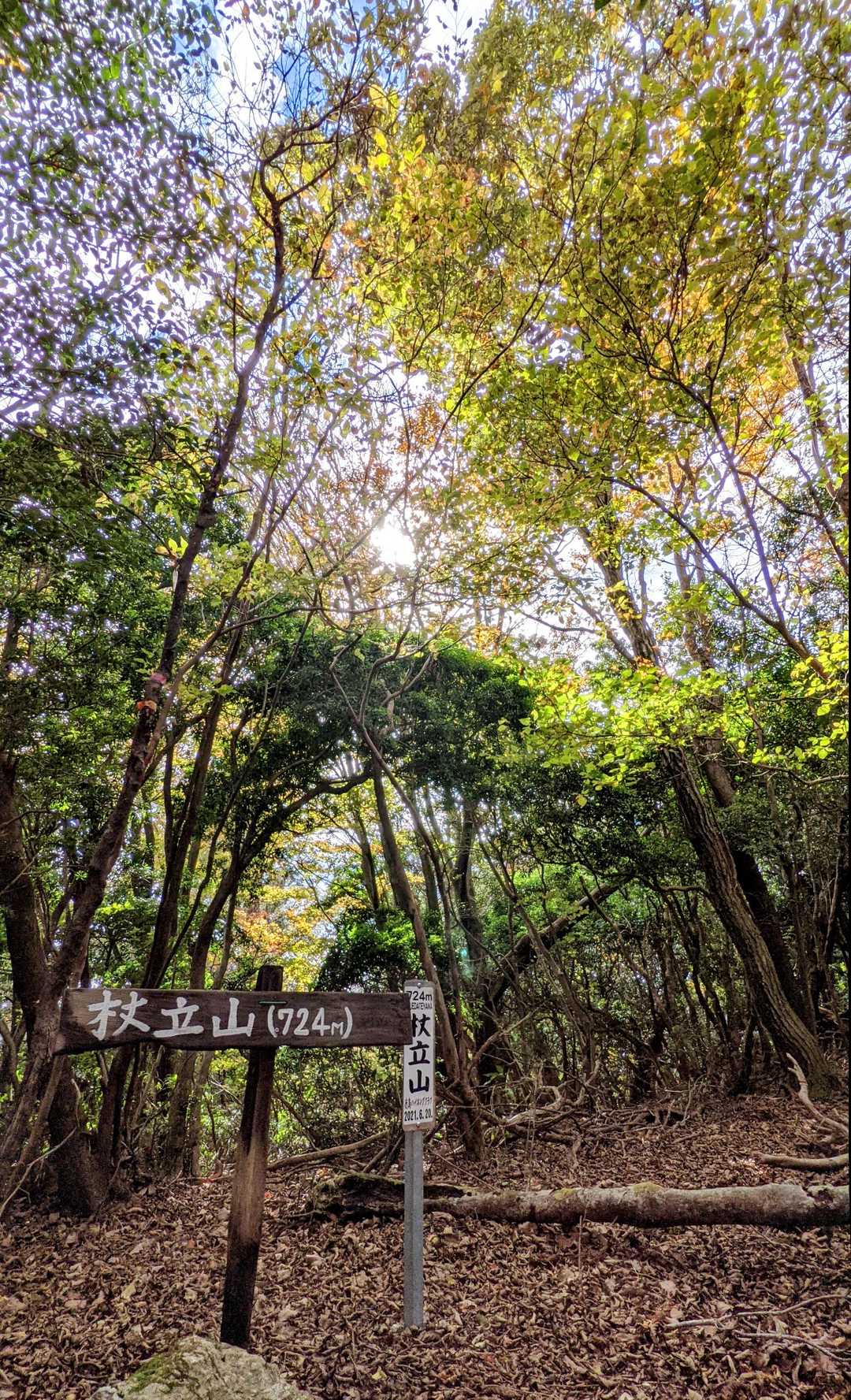 杖立山到着🙌
いつもどおりルート見失いまくりでしたので、通る際はご注意ください😂