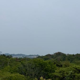 天気はイマイチ😅