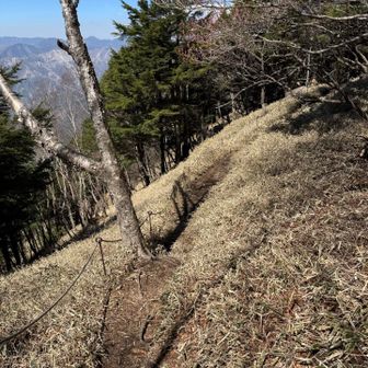 巻道で戻ります。
この方が風の影響が少ない。