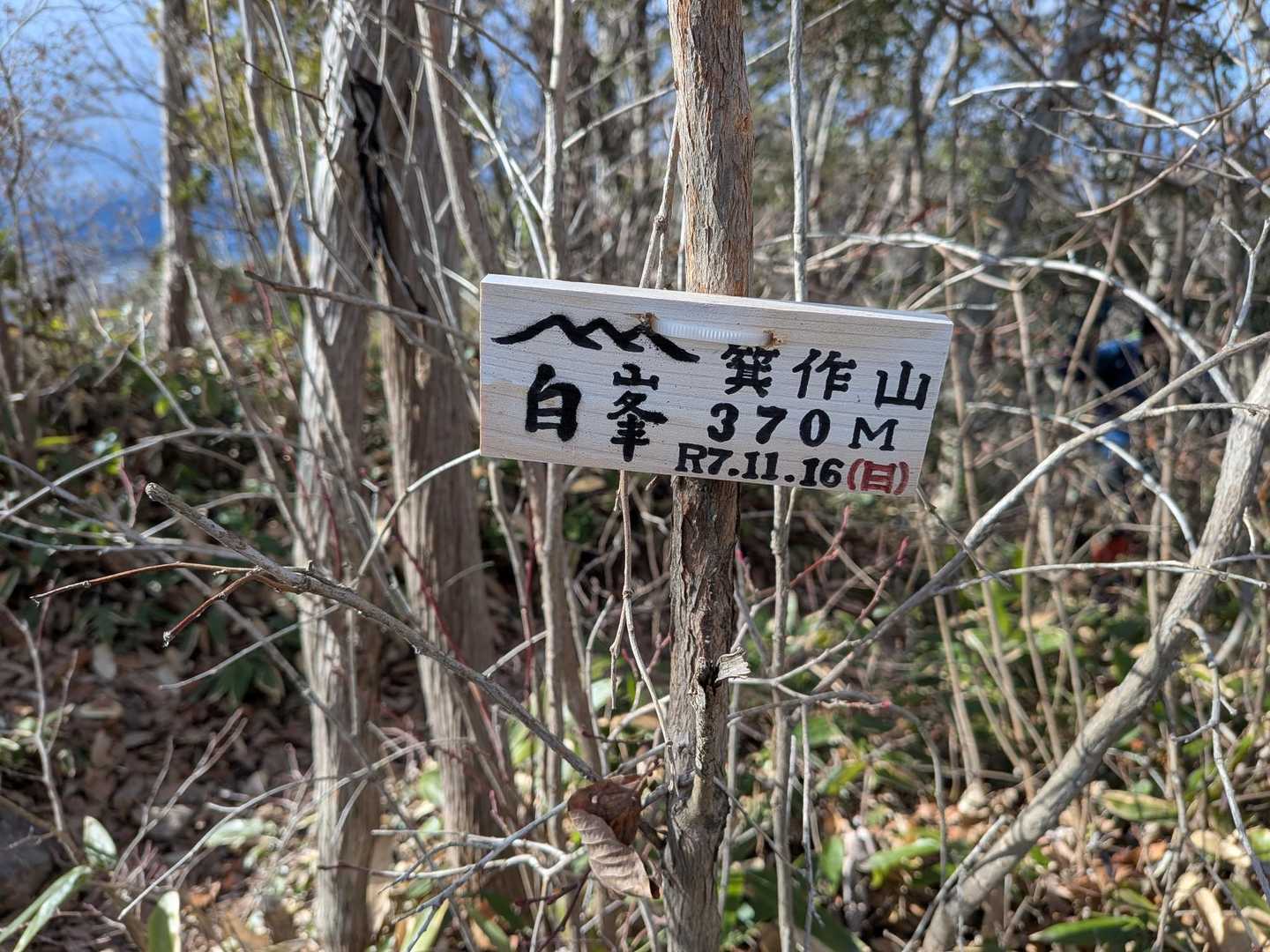 箕作山山頂