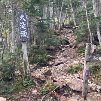 この先100m位登り、展望が出だす