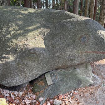カエル岩
落書きしないで！と板に書いてあるけど、この目と口は落書きなのかな。