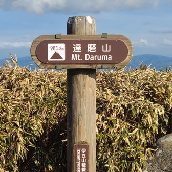 達磨山山頂に到着
眺望抜群😁