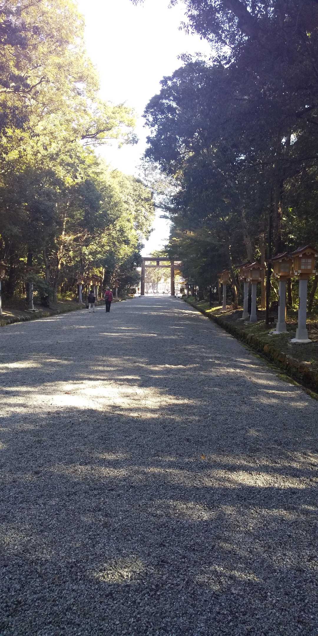 畝傍山 往復コースの写真