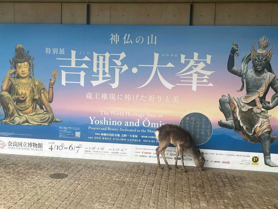 奈良国立博物館で 特別展 吉野・大峯  / ひるねもぐもぐさんの