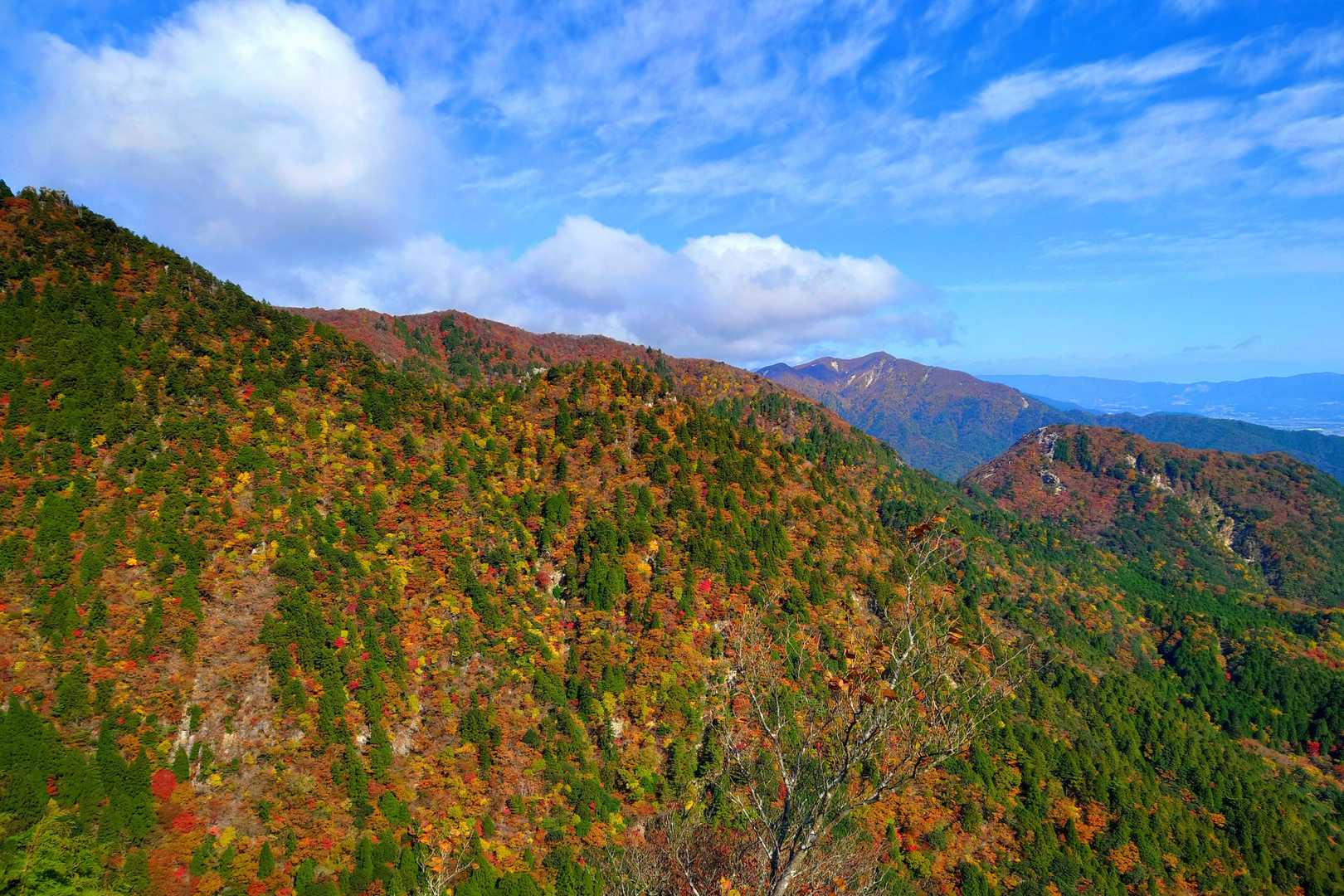 中登山口-御在所岳-国見峠 周回コースの写真