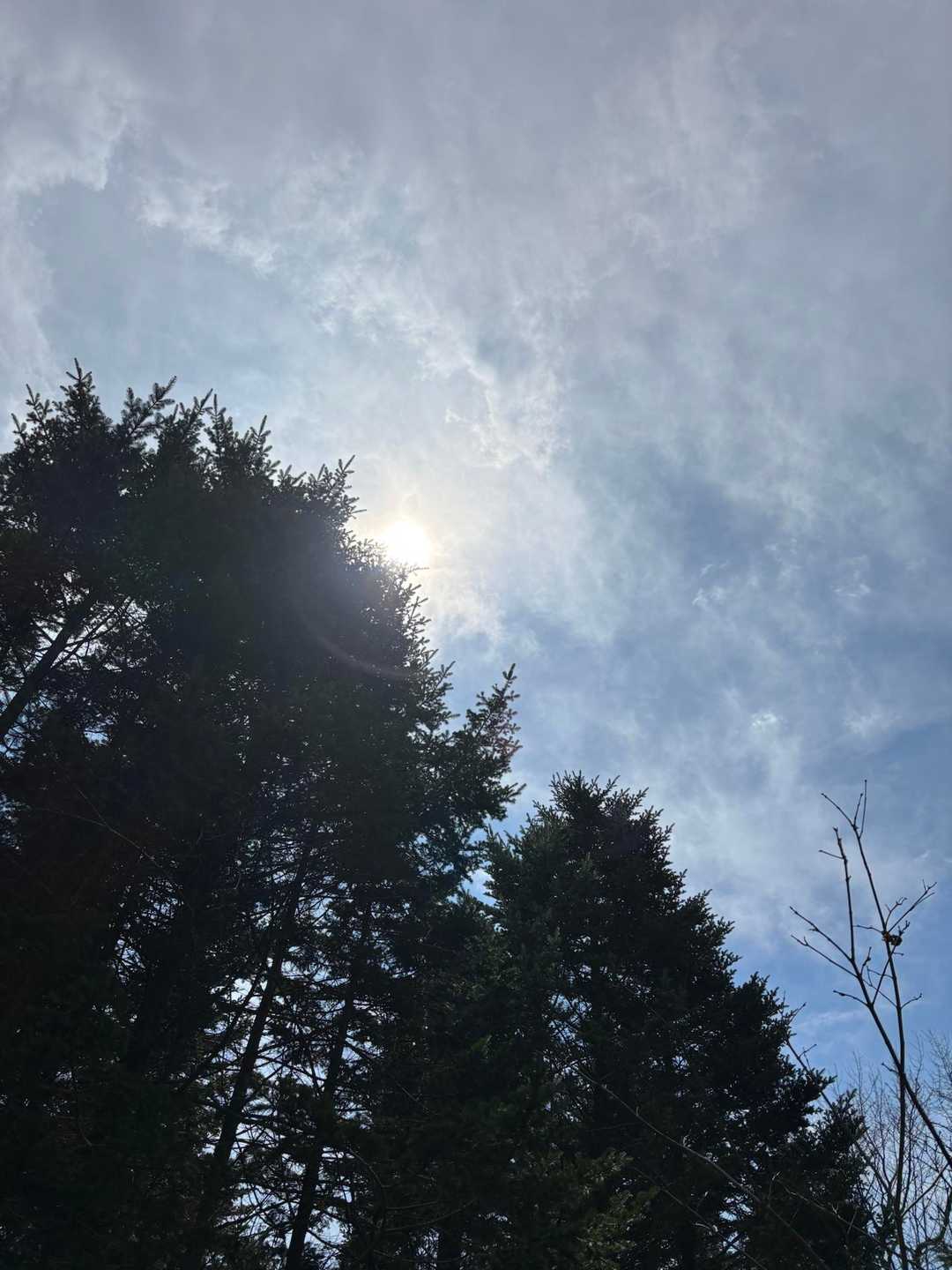 また晴れた☀️
大雨にならなくて良かった😌
ありがとうございました！