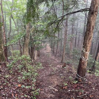 岩尾山西峰へ。