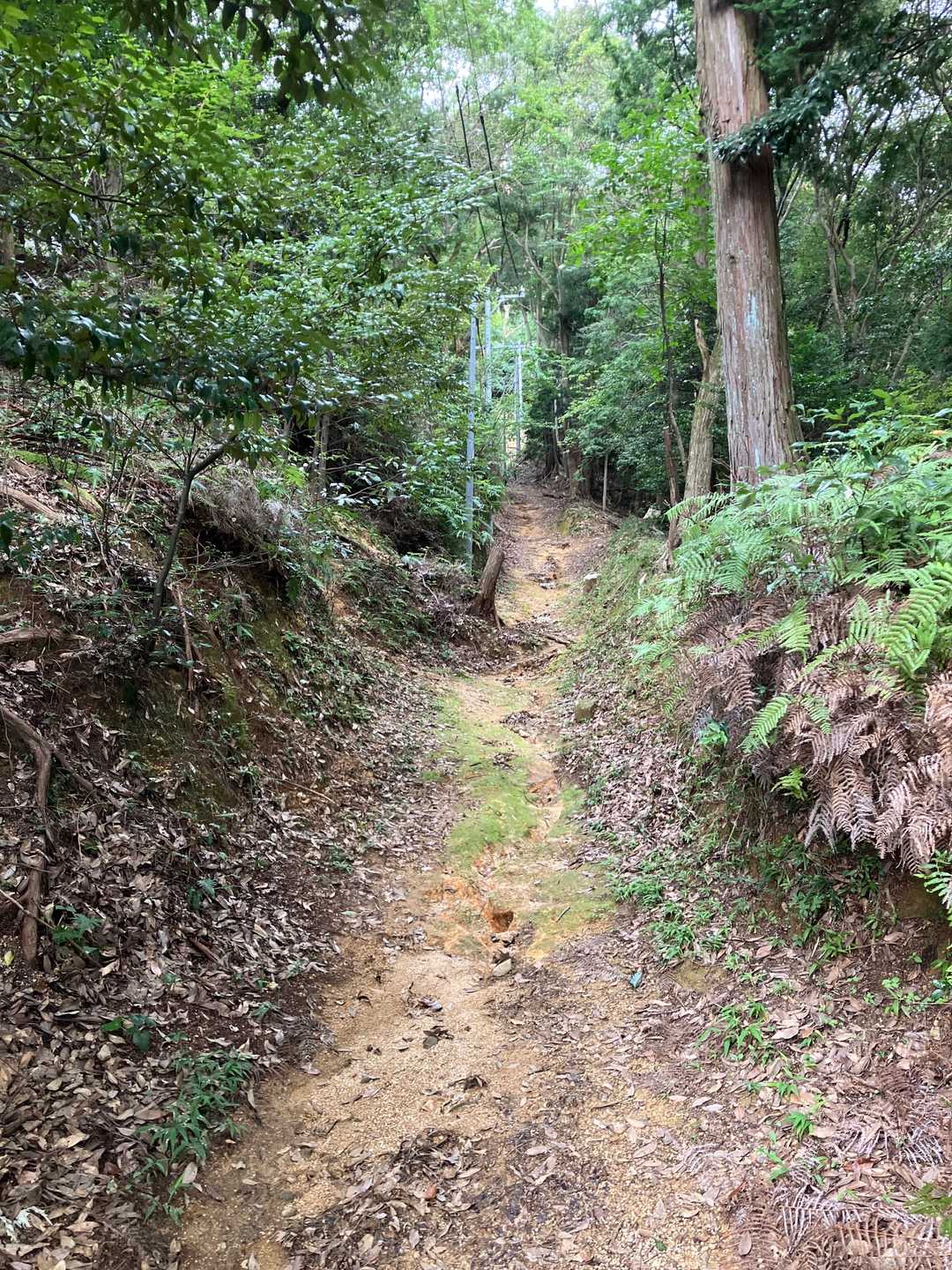 お寺まではこんな感じ。