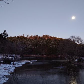 夜明け前の段戸湖
寒い！
月明かりが凄かった、コールドムーンっていうらしい