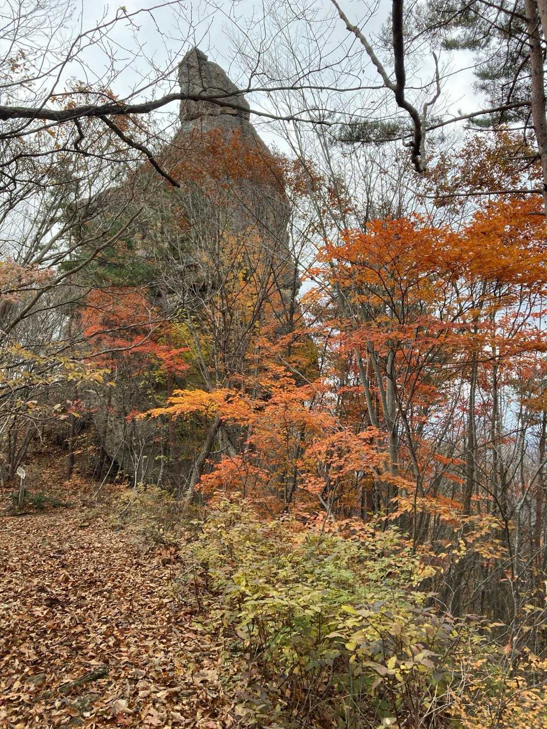 仏岩
観音様の横顔に見える