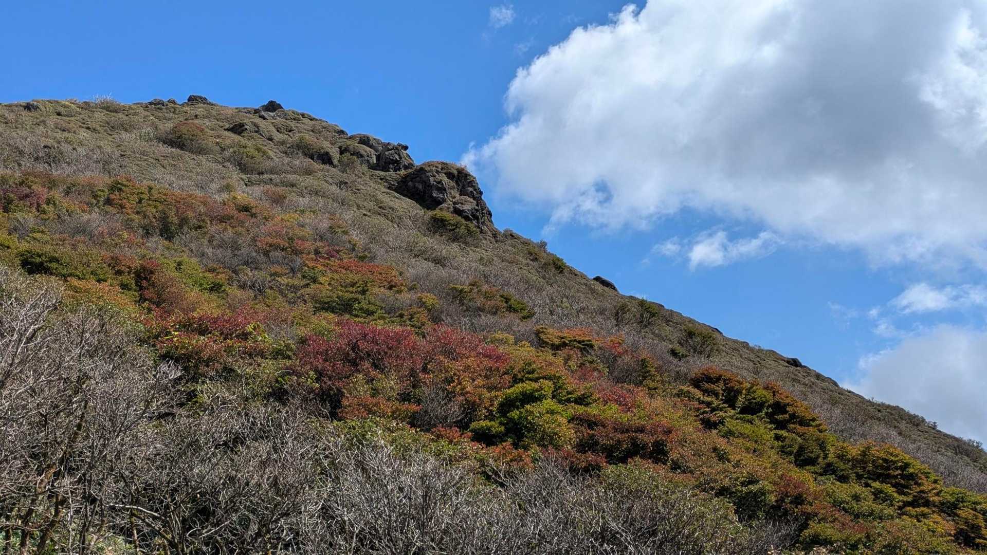 少しだけ紅葉が😀