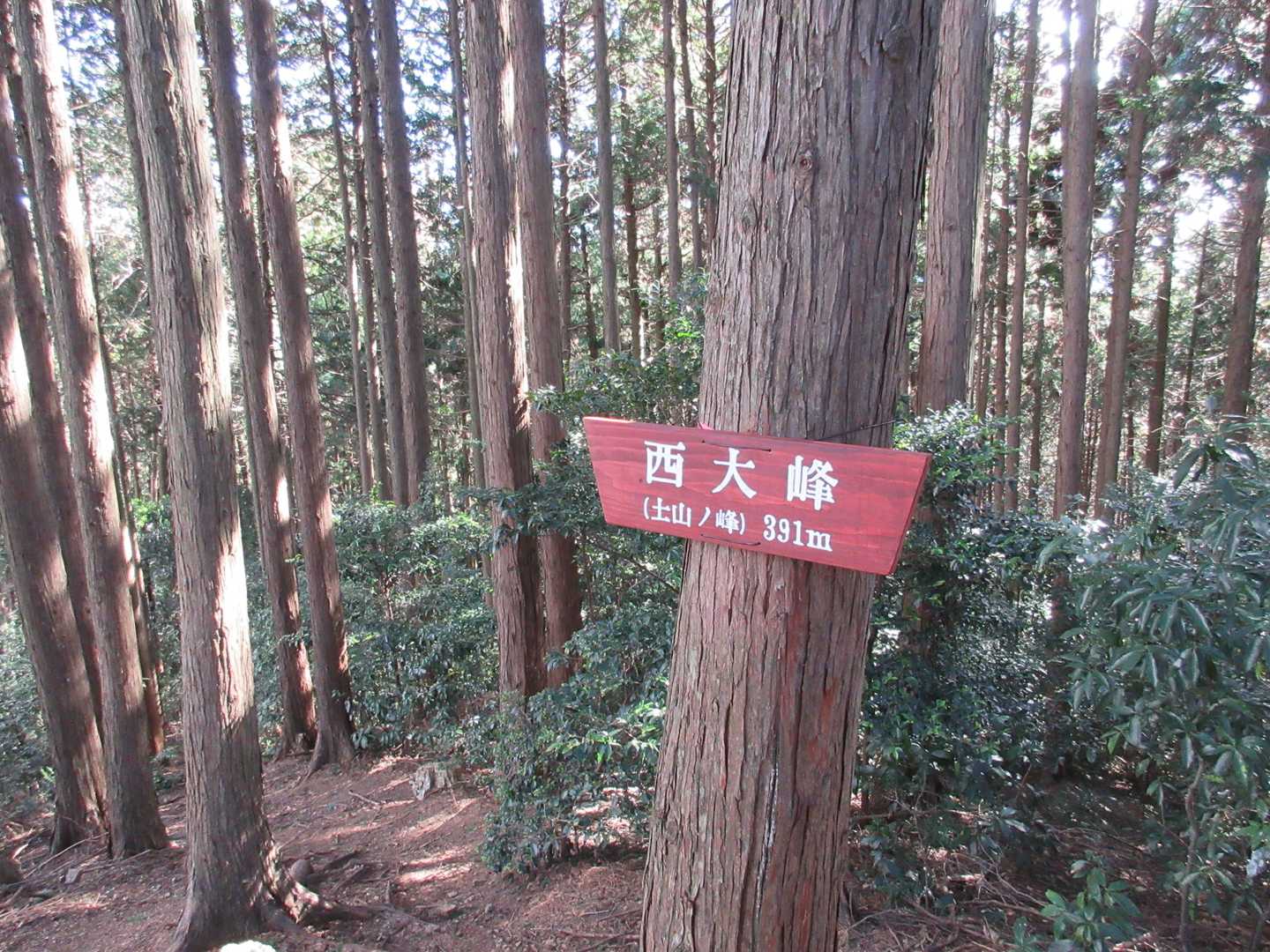 土山ノ峰 391m