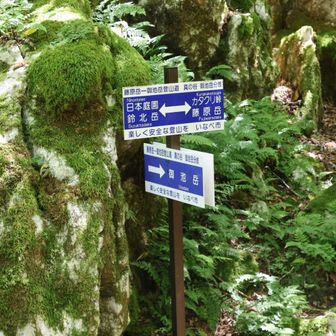 カタクリ峠を経て、コグルミ谷経由で戻ります