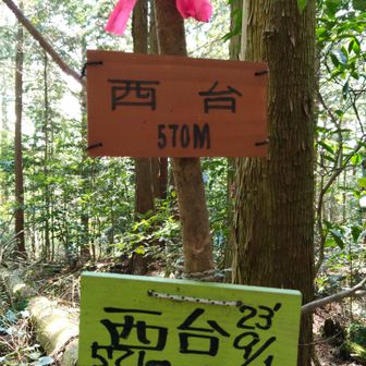 こんなに山頂プレート必要？
流石は防長百山だけの事はある😲