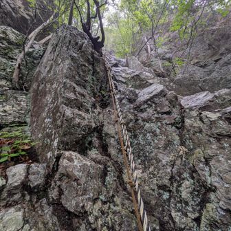 ほぼ垂直の岩場(1,462m)
※ロープ→強度が低く補助的に使う。
