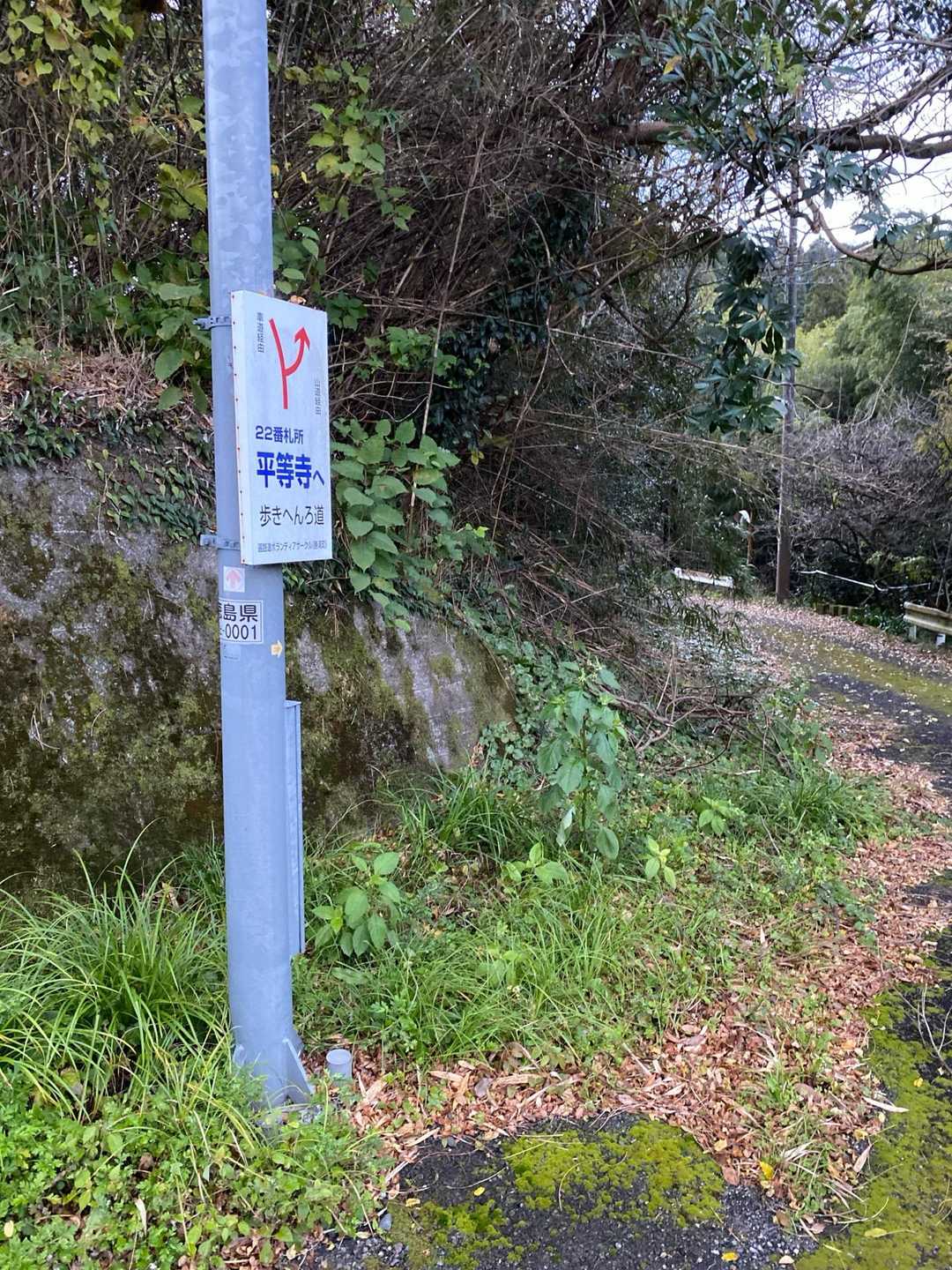 こちらから。