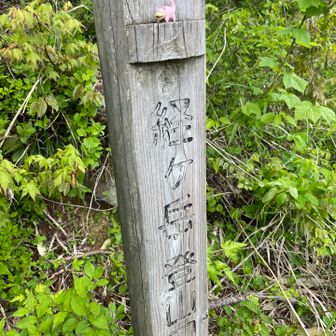 経ヶ岳・法恩寺山 さて、登ります。