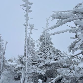 真っ白😑

脳内で八ヶ岳ブルーに変換