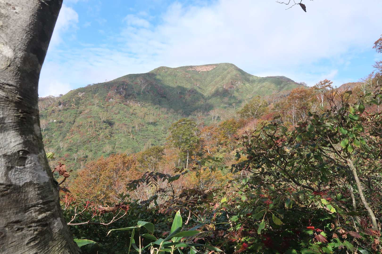 石徹白登山口-銚子ヶ峰 往復コースの写真