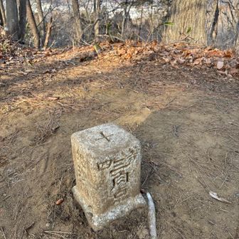 四等三角点発見
月待山の山頂なのか？🤔