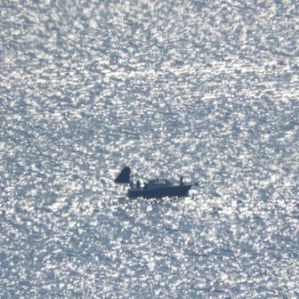 ✨輝く海に浮かぶ小舟🛥️
