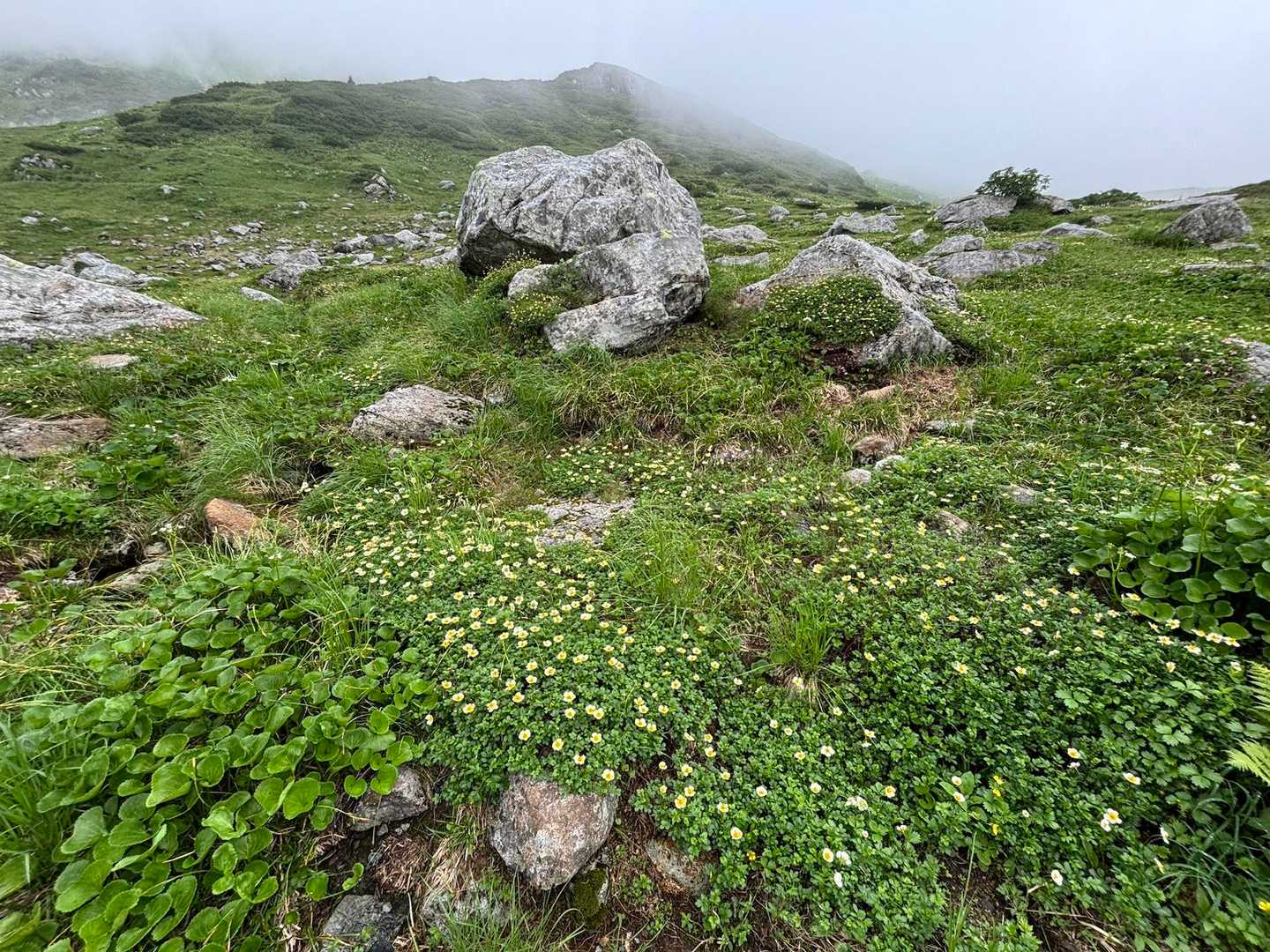 一ノ越-立山 往復コースの写真