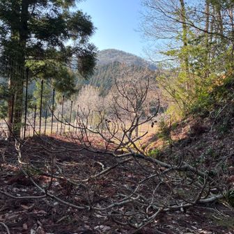 こんな大っきい枝が。。😇
大丈夫かしら😅

お喋りしていたら、撮りたい写真撮り忘れた💦
さぁ、もう一回いこーっ！
ぺちゃくちゃ😀😁♫