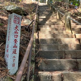 きつい階段で足元みて登ってたので、これまで気づかなかった
