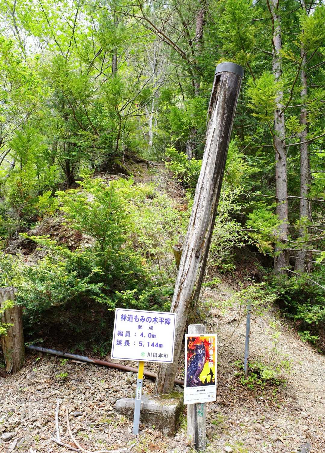 大札山登山口に到着