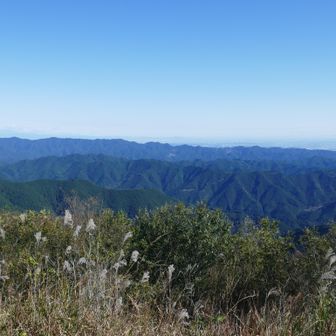 山頂は絶景だった。