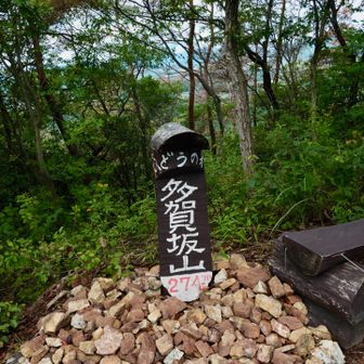 多賀坂山です。