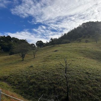 尾根を登り切ったら景色が一変。
今日一の青空👍