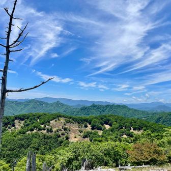 あまり見ない雲の形☁️
