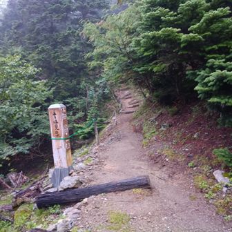 雨が上がった3日目の朝は十分に明るくなってから5時半に出発⋯とそこへダンディさんが現れて、、、
「今日が山行22日目で日本海から歩いて来たのです」とお聞きして仰天😲
三伏峠小屋でさらにお話を伺えるのを楽しみにスタート。