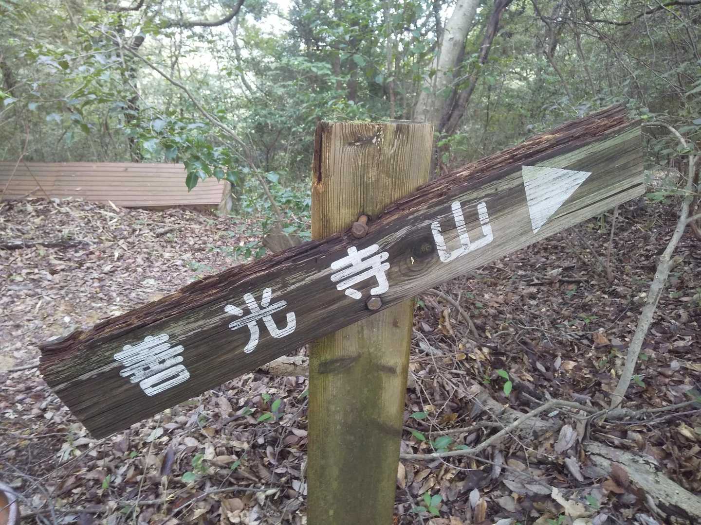 二子山登山口-善光寺山 往復コースの写真
