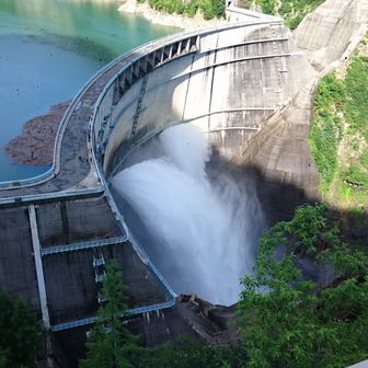 みるますからす