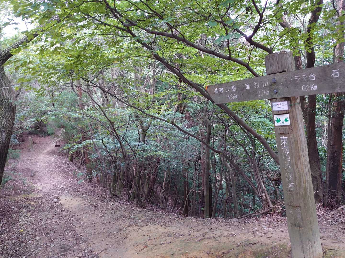 明るくなってきました