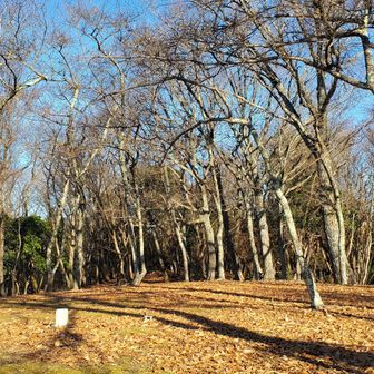 山頂はとても広くて解放感があります。たくさんの日差しが射し込んで綺麗です。