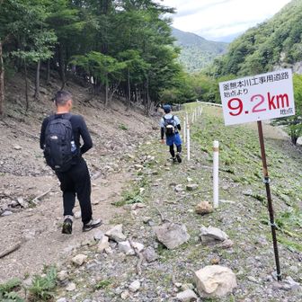 長い林道歩き再び…