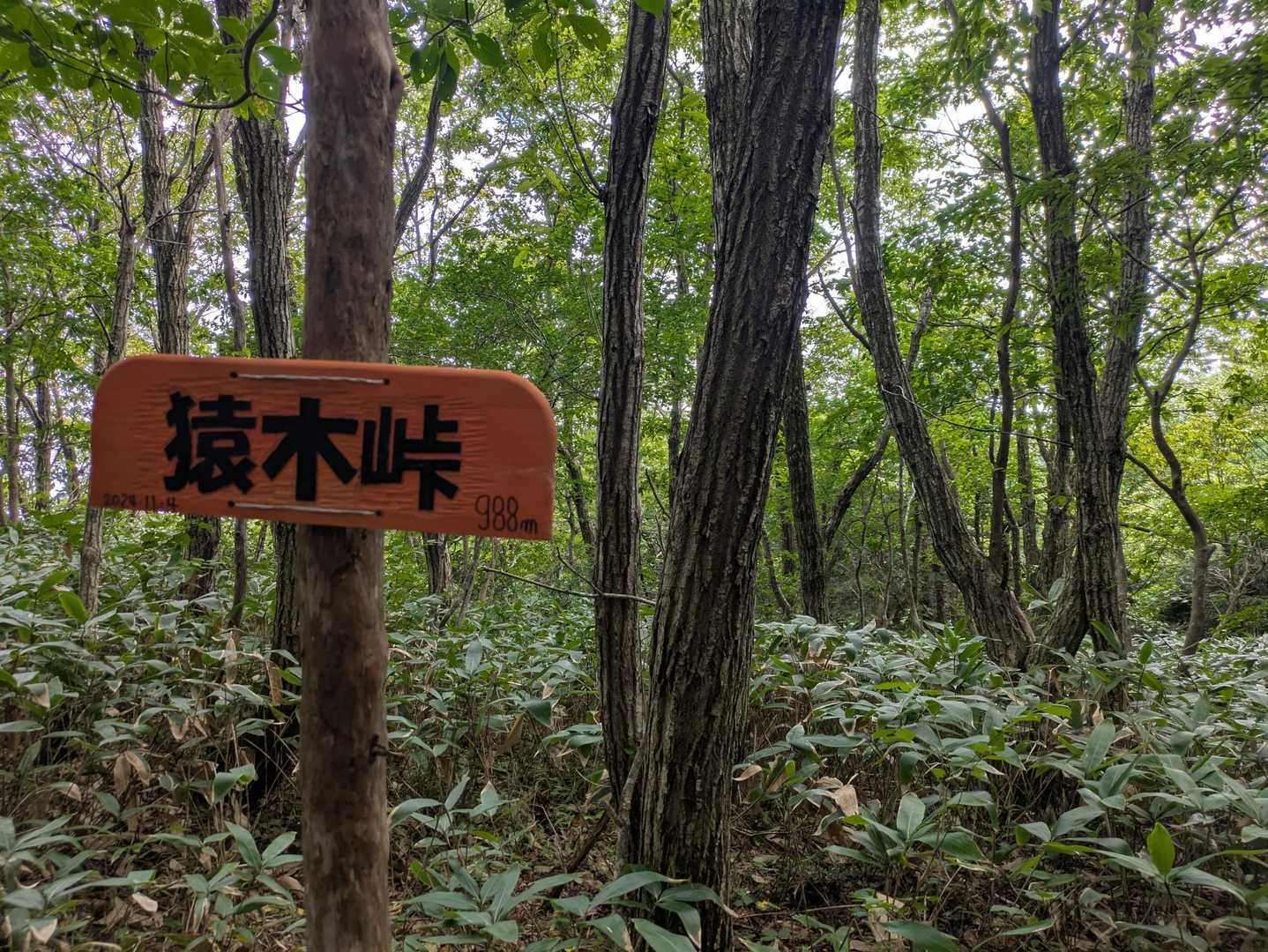 9/6にここで熊の目撃情報あり🐻
熊よけホーン鳴らす📣
番犬の吠える声がお気に入り🐕‍🦺