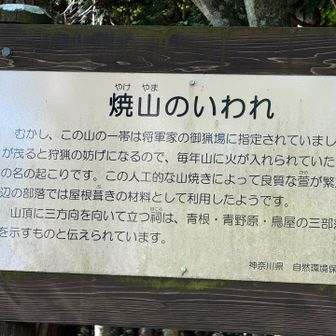 山友さん1人はピークハントへ
休憩できるチャンス笑