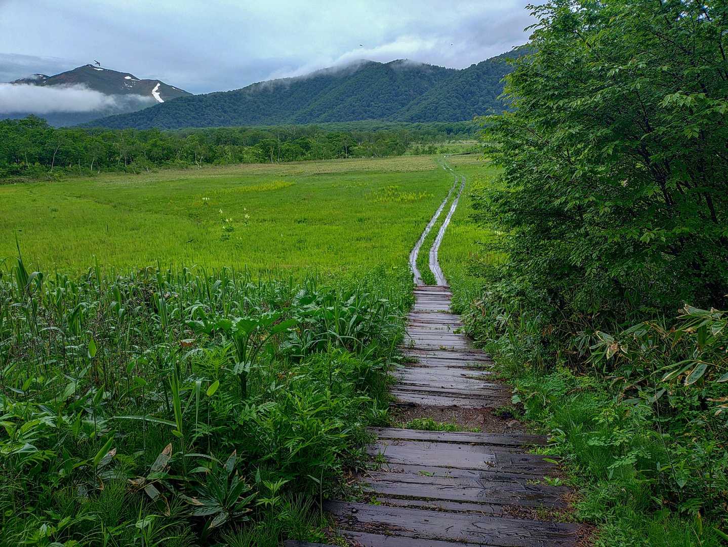 雨は止みつつあります