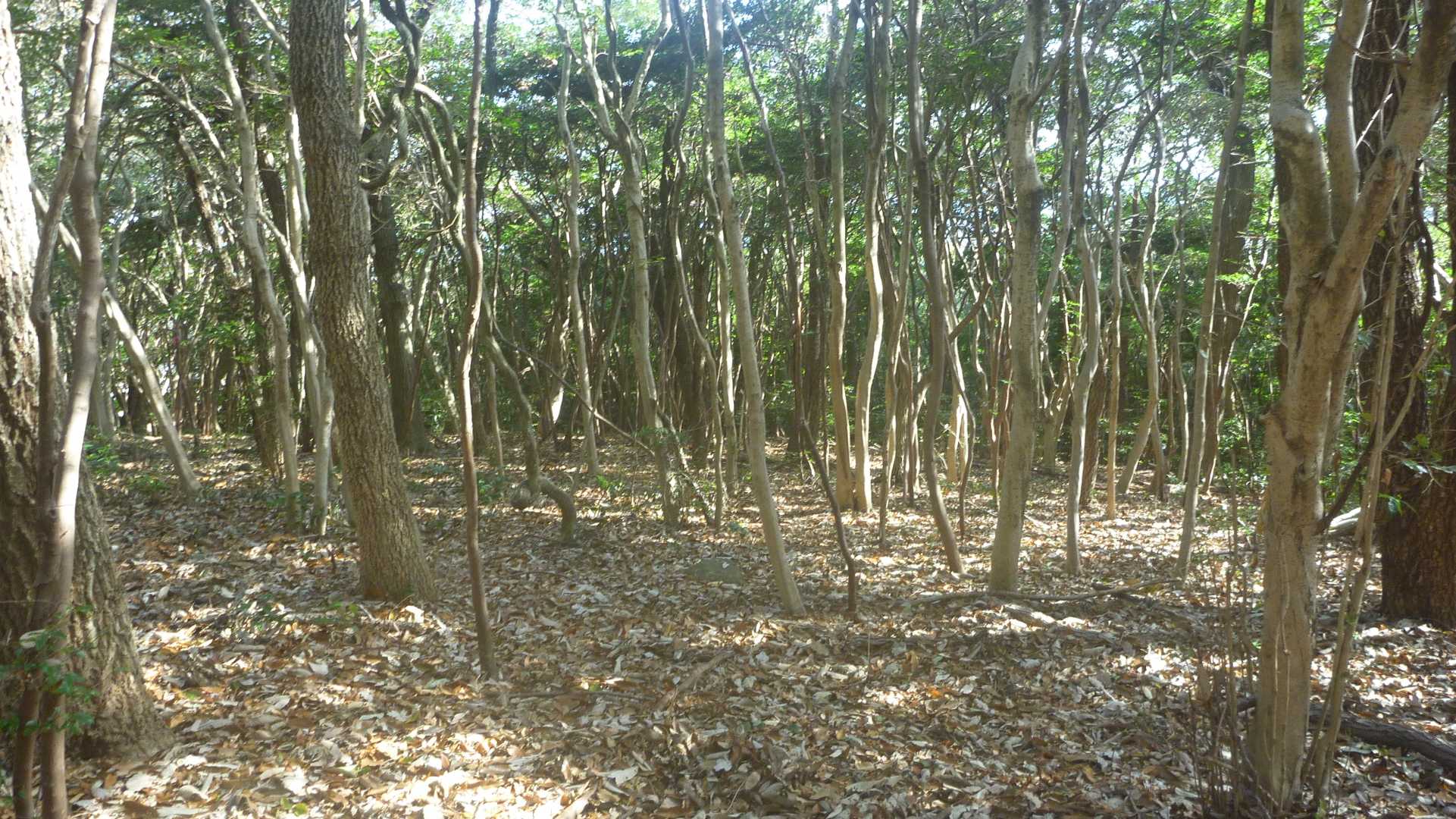 行き先を定めるのが、ちょっと分かりにくいかも