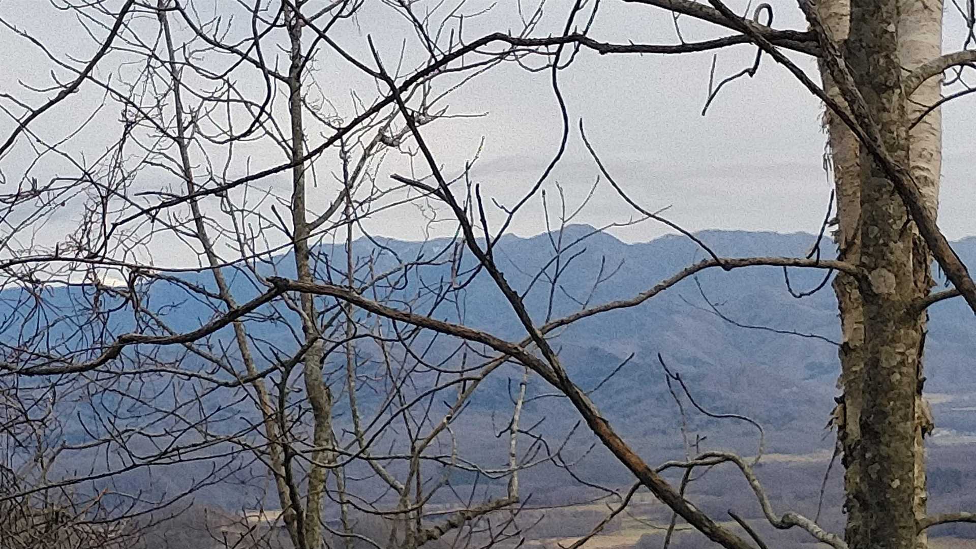 貫気別山～リビラ山🤩